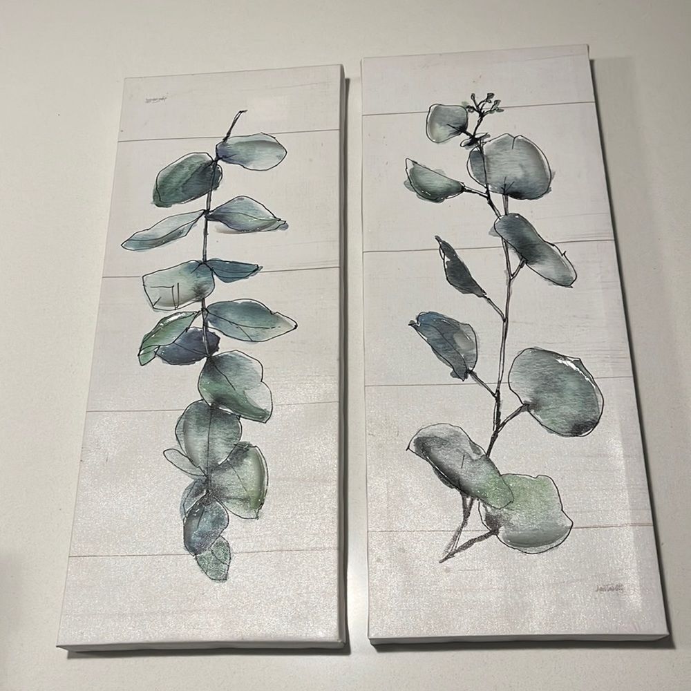 Plant Frames pack of two